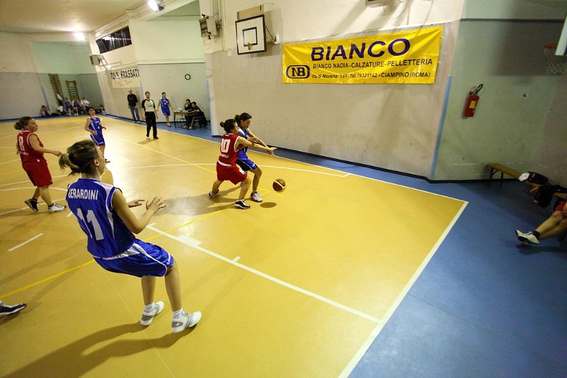 Basket 443081
